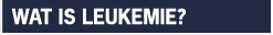 Leukemie